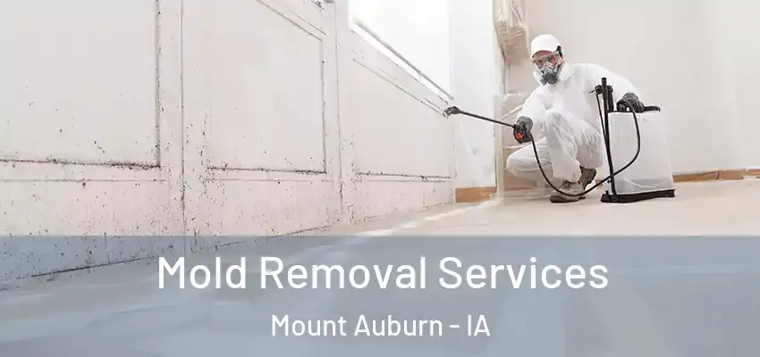  Mold Removal Services Mount Auburn - IA