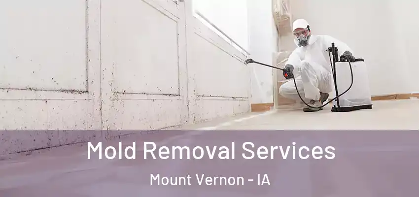 Mold Removal Services Mount Vernon - IA