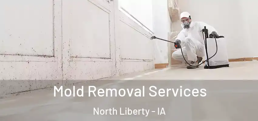  Mold Removal Services North Liberty - IA
