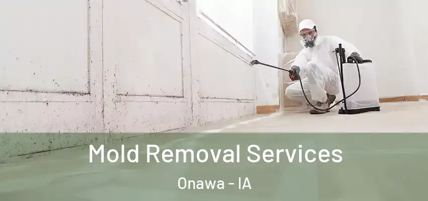 Mold Removal Services Onawa - IA
