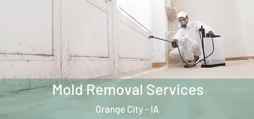  Mold Removal Services Orange City - IA