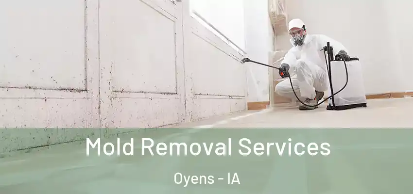 Mold Removal Services Oyens - IA