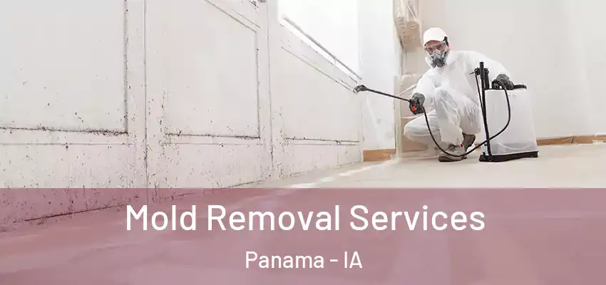 Mold Removal Services Panama - IA