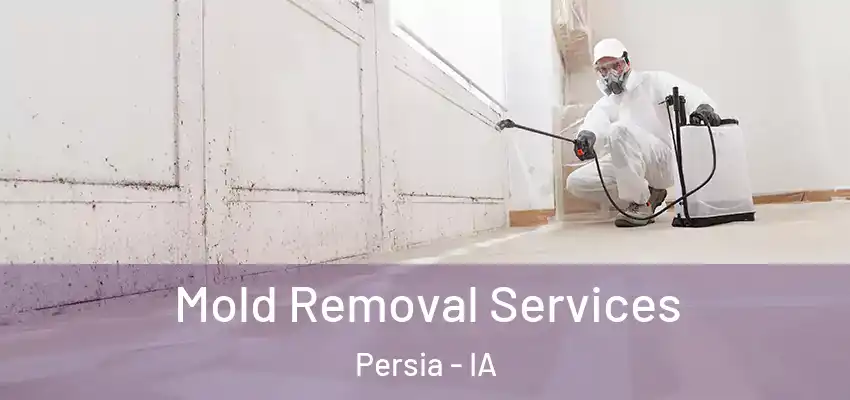 Mold Removal Services Persia - IA