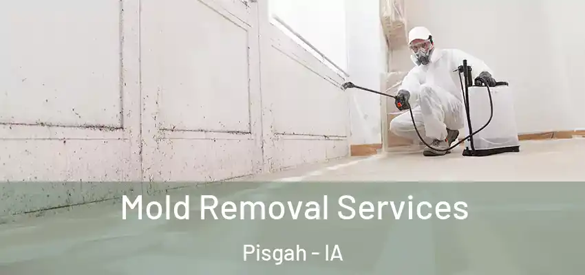 Mold Removal Services Pisgah - IA