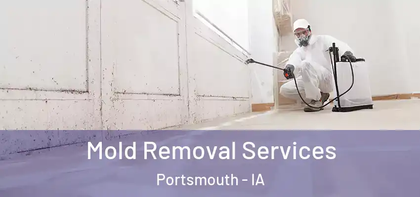 Mold Removal Services Portsmouth - IA