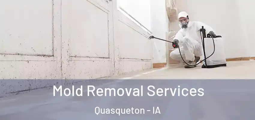  Mold Removal Services Quasqueton - IA