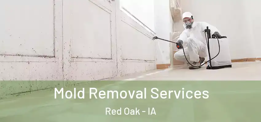 Mold Removal Services Red Oak - IA