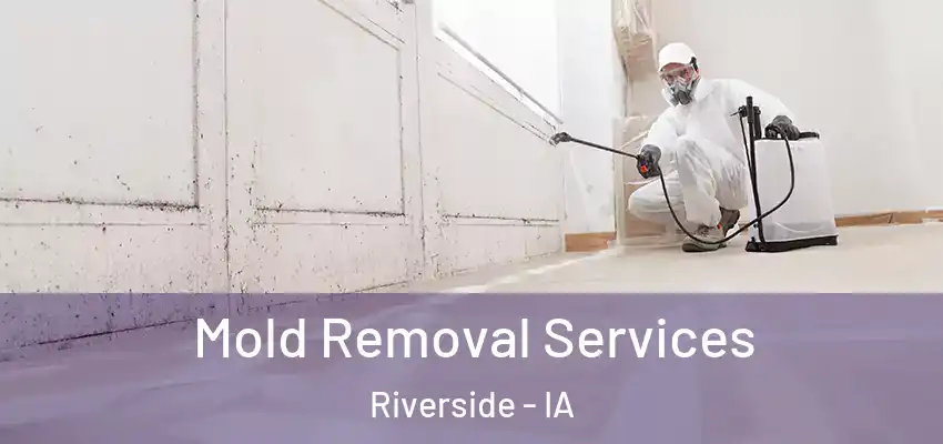  Mold Removal Services Riverside - IA