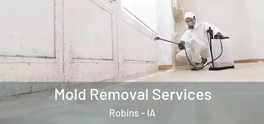 Mold Removal Services Robins - IA