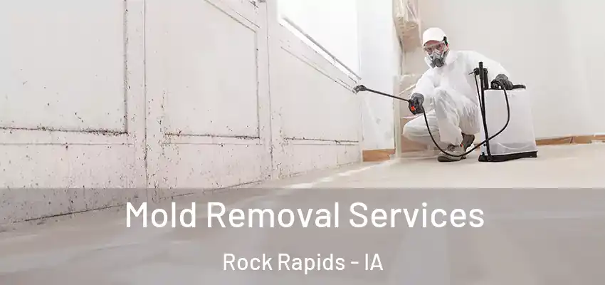  Mold Removal Services Rock Rapids - IA