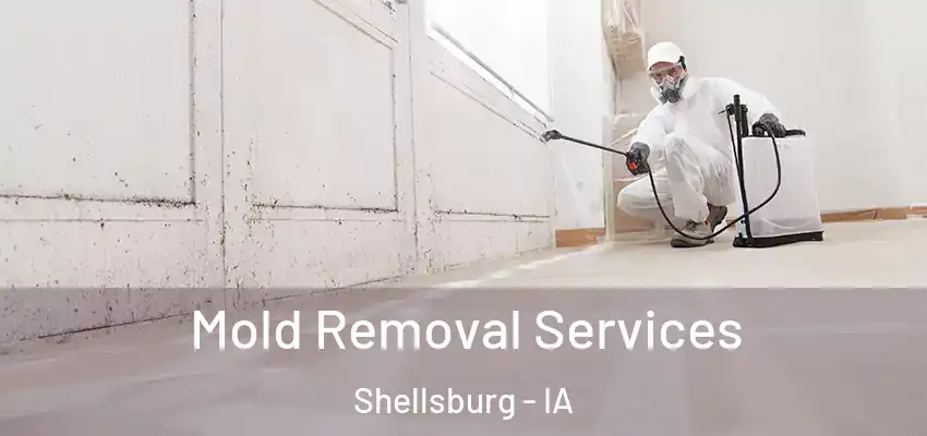 Mold Removal Services Shellsburg - IA