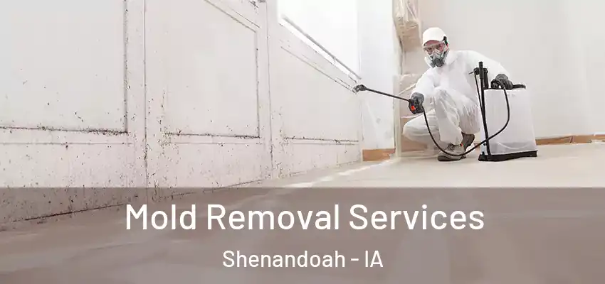  Mold Removal Services Shenandoah - IA