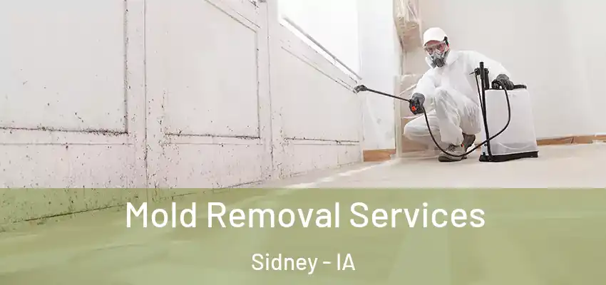  Mold Removal Services Sidney - IA