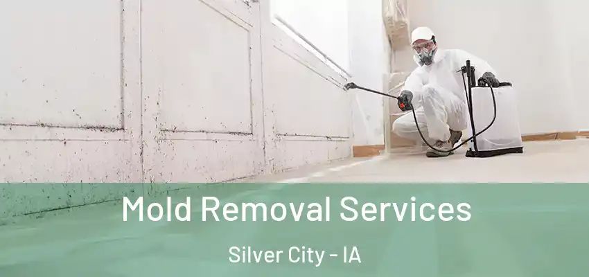  Mold Removal Services Silver City - IA
