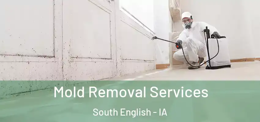 Mold Removal Services South English - IA