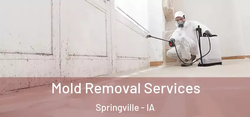  Mold Removal Services Springville - IA