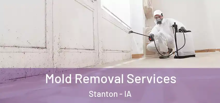  Mold Removal Services Stanton - IA