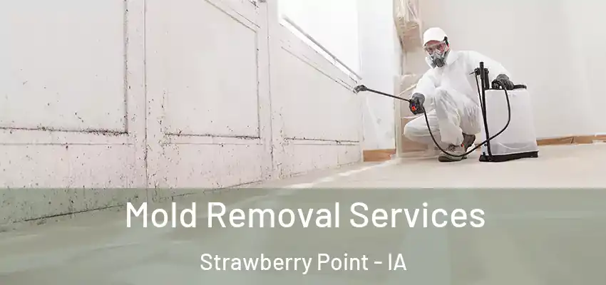 Mold Removal Services Strawberry Point - IA