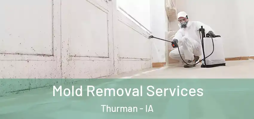 Mold Removal Services Thurman - IA
