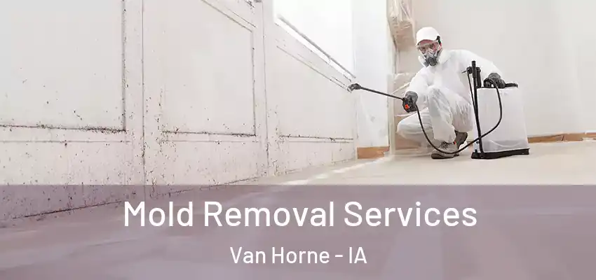 Mold Removal Services Van Horne - IA