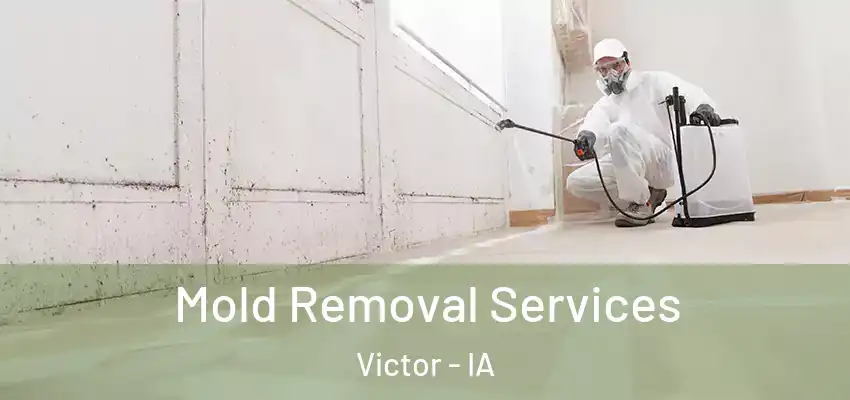 Mold Removal Services Victor - IA