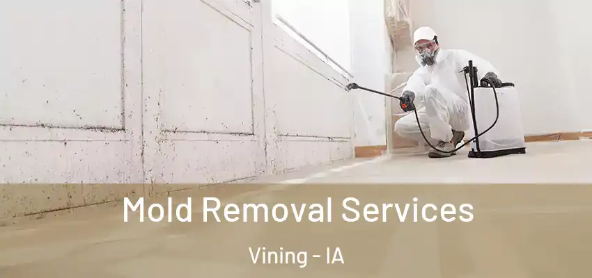  Mold Removal Services Vining - IA