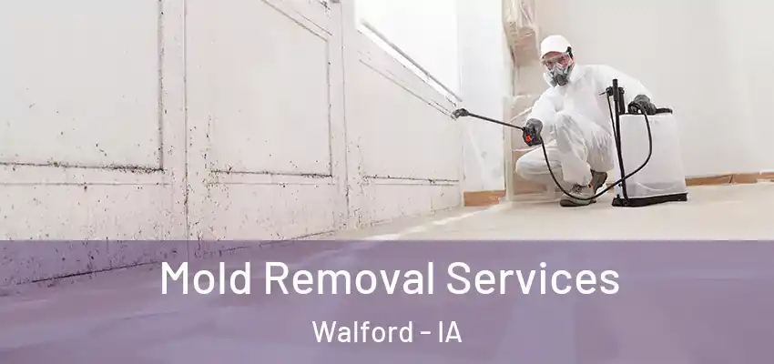  Mold Removal Services Walford - IA