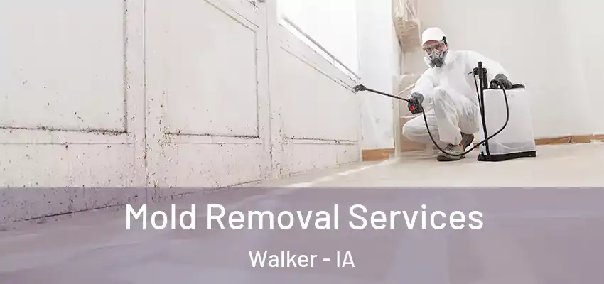  Mold Removal Services Walker - IA