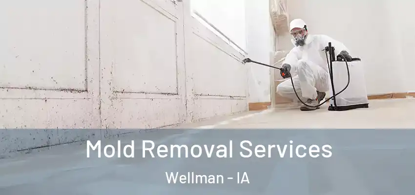 Mold Removal Services Wellman - IA