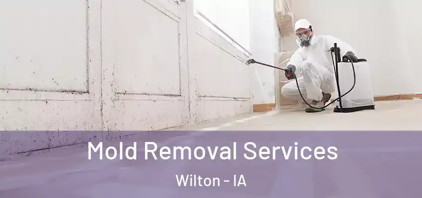 Mold Removal Services Wilton - IA
