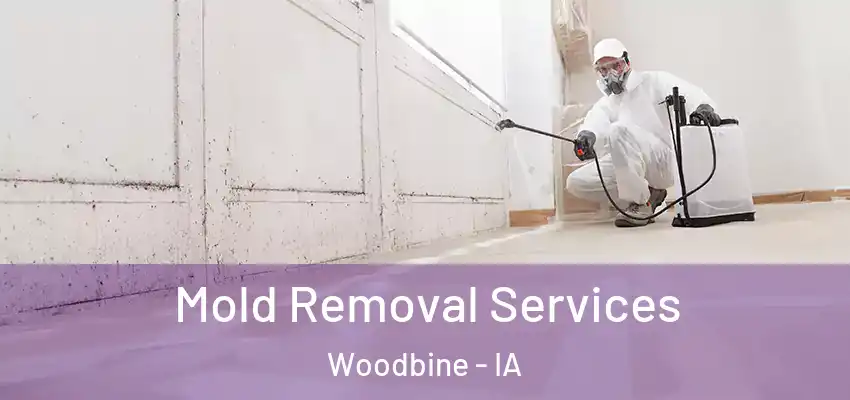  Mold Removal Services Woodbine - IA
