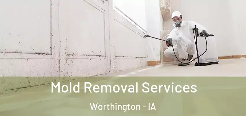 Mold Removal Services Worthington - IA