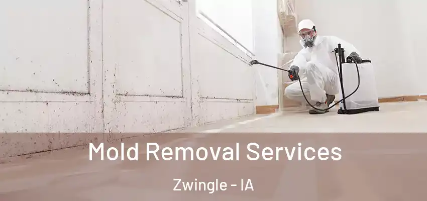 Mold Removal Services Zwingle - IA