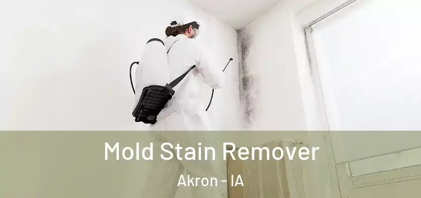  Mold Stain Remover Akron - IA