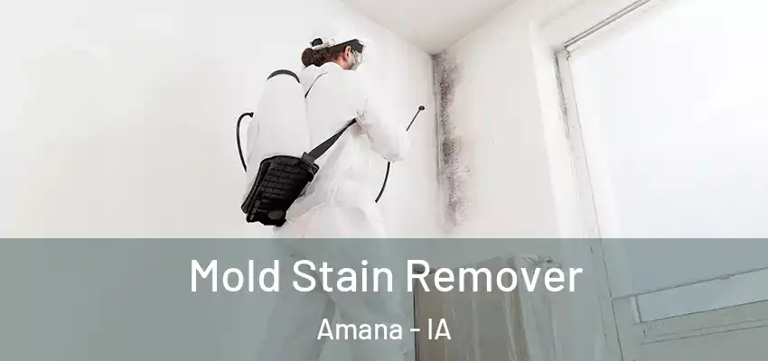 Mold Stain Remover Amana - IA