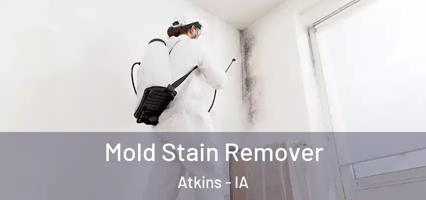  Mold Stain Remover Atkins - IA