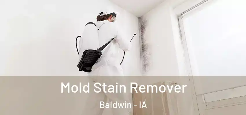 Mold Stain Remover Baldwin - IA