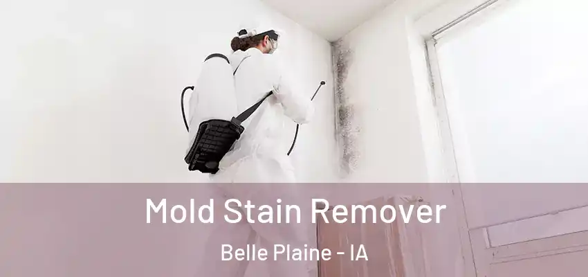  Mold Stain Remover Belle Plaine - IA