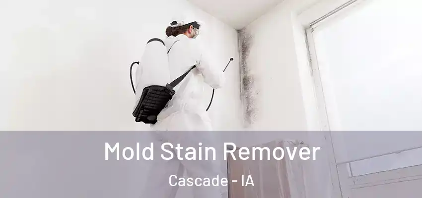  Mold Stain Remover Cascade - IA