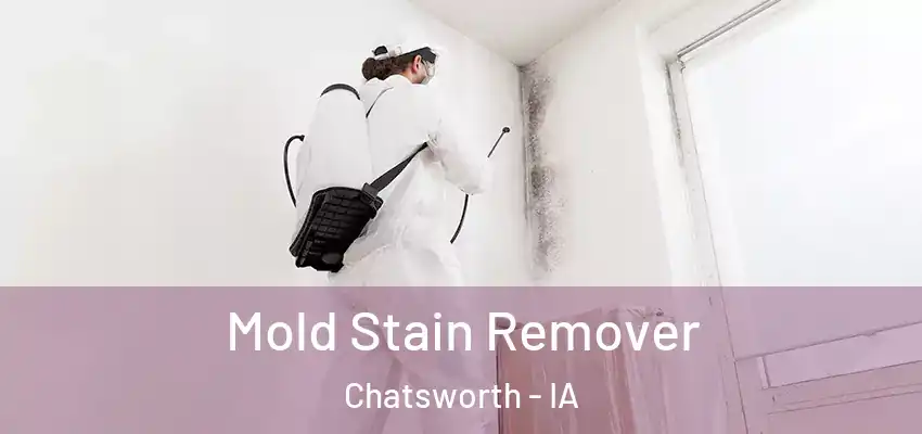 Mold Stain Remover Chatsworth - IA
