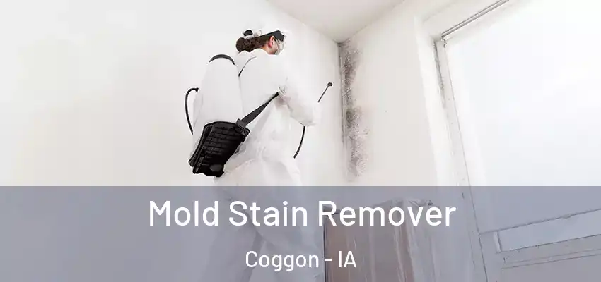  Mold Stain Remover Coggon - IA