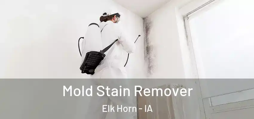  Mold Stain Remover Elk Horn - IA