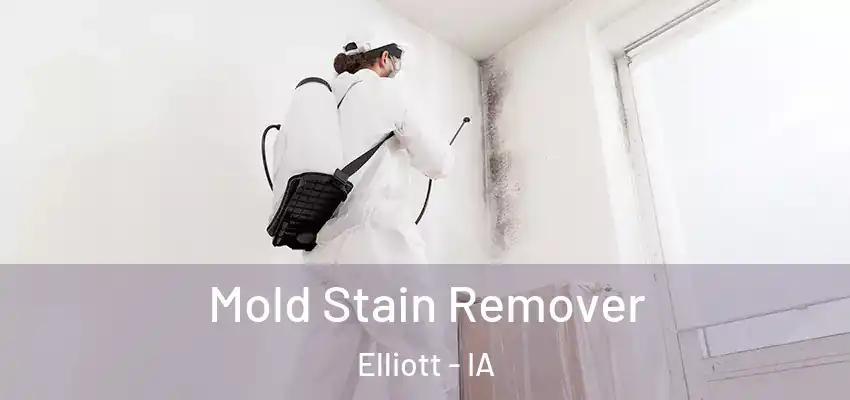  Mold Stain Remover Elliott - IA