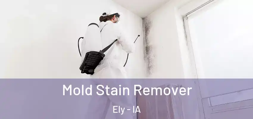  Mold Stain Remover Ely - IA