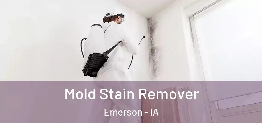 Mold Stain Remover Emerson - IA