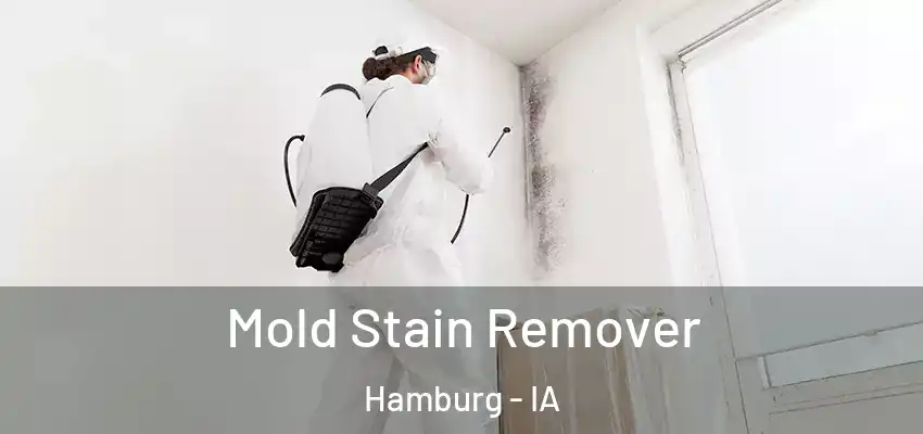  Mold Stain Remover Hamburg - IA