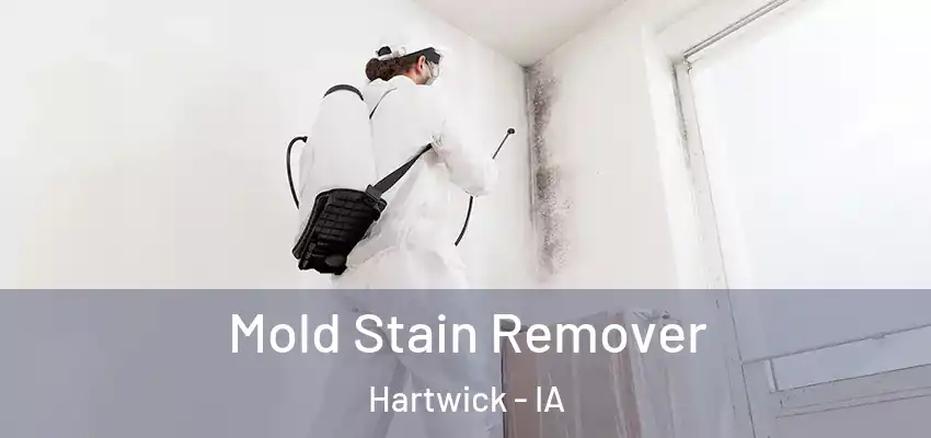  Mold Stain Remover Hartwick - IA