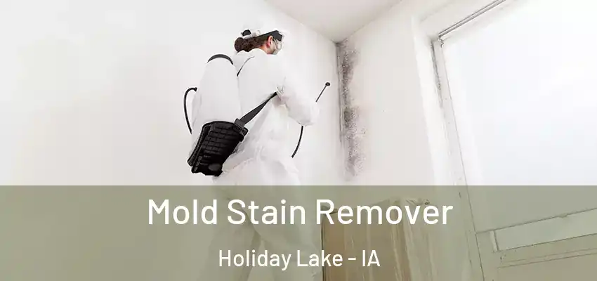  Mold Stain Remover Holiday Lake - IA