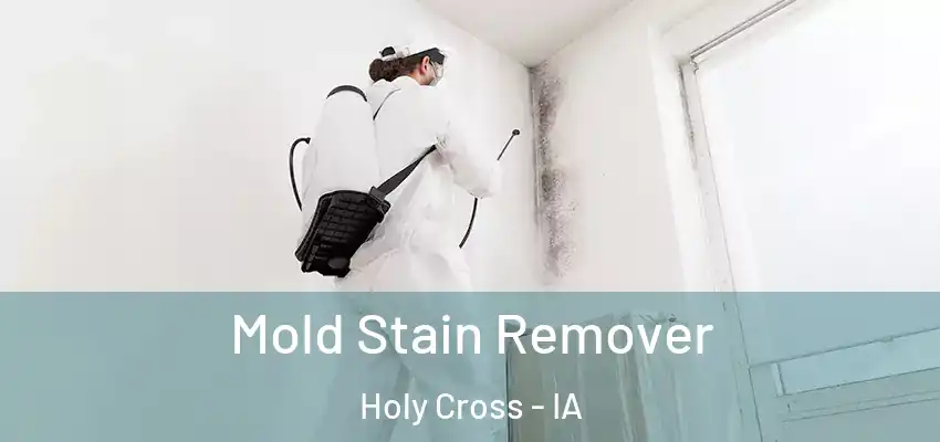 Mold Stain Remover Holy Cross - IA